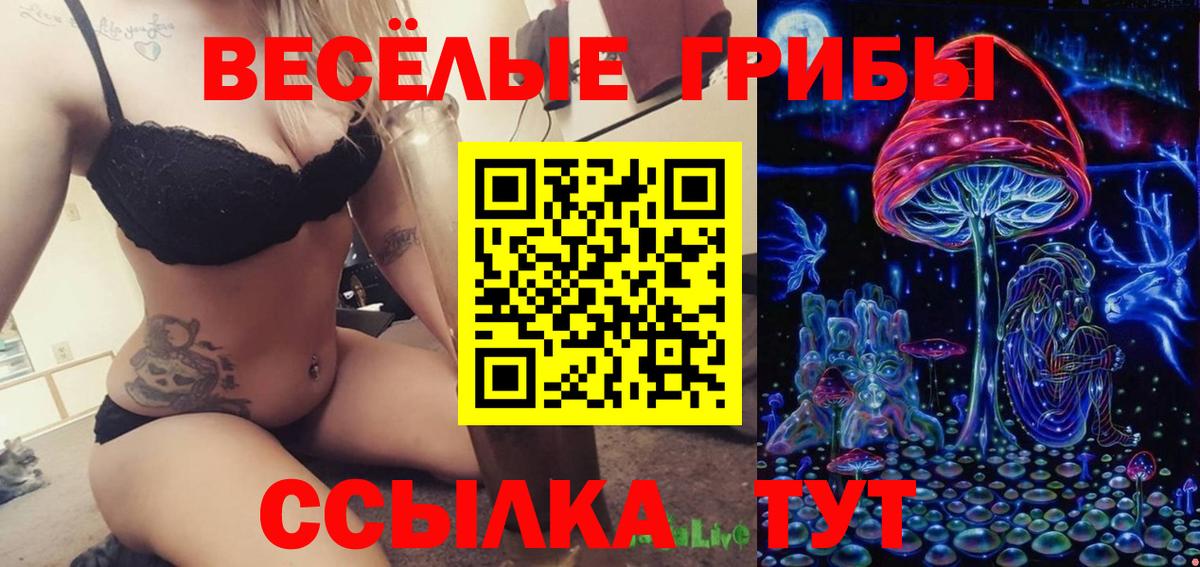 Галлюциногенные грибы Psilocybine cubensis  Галлюциногенные грибы MAGIC MUSHROOMS  Вход с VPN  Апшеронск 