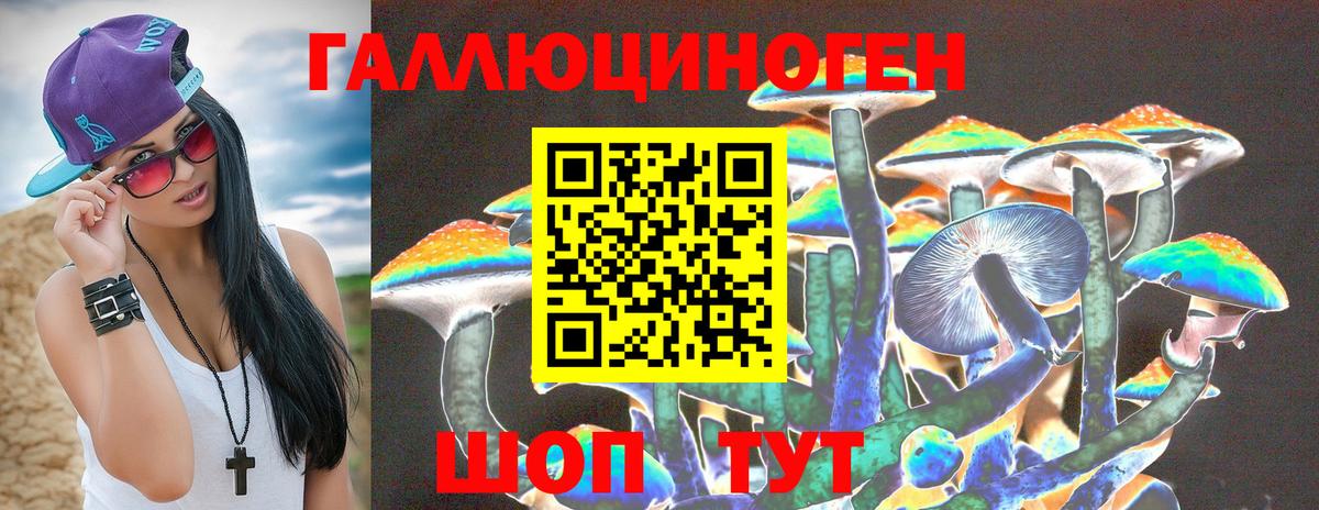Псилоцибиновые грибы Cubensis Апшеронск